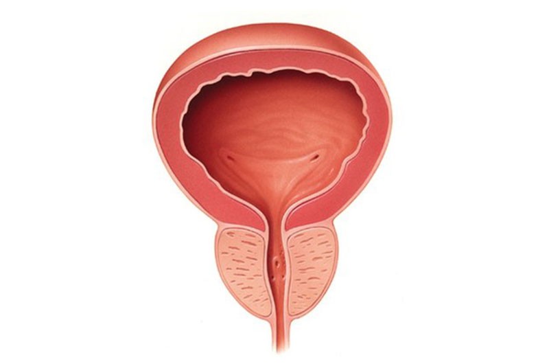 Miért alakulhat ki inkontinencia prosztataműtét után?